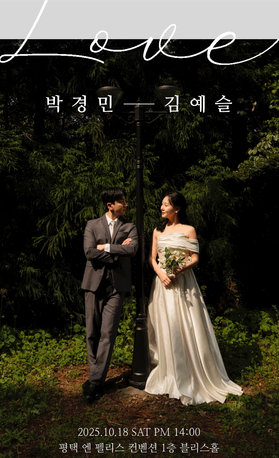 축하 이미지